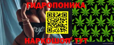 скорость Можайск